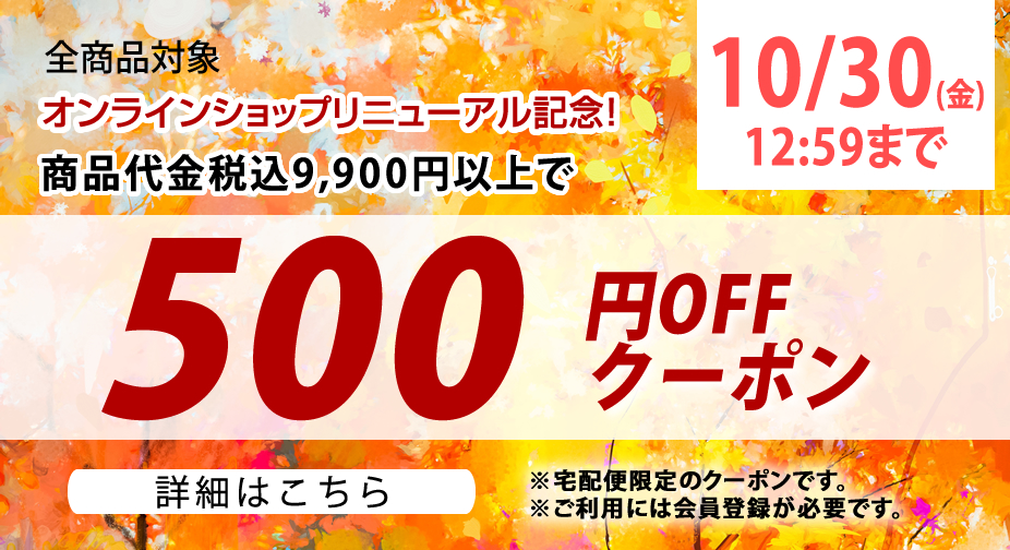 オンラインショップリニューアル記念500円クーポンコード発行！